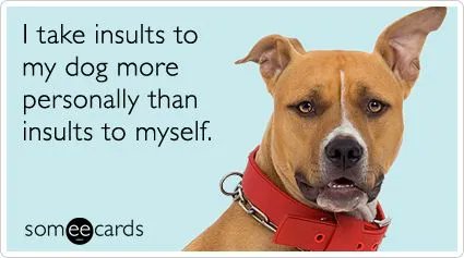ShadowDogDesign's tweet photo. I take insults to my #dog more personally than insults to myself.
#Dosg #DontInsultMyDog #BestFriend #DogsAreLove https://t.co/h6oFNnGqdd