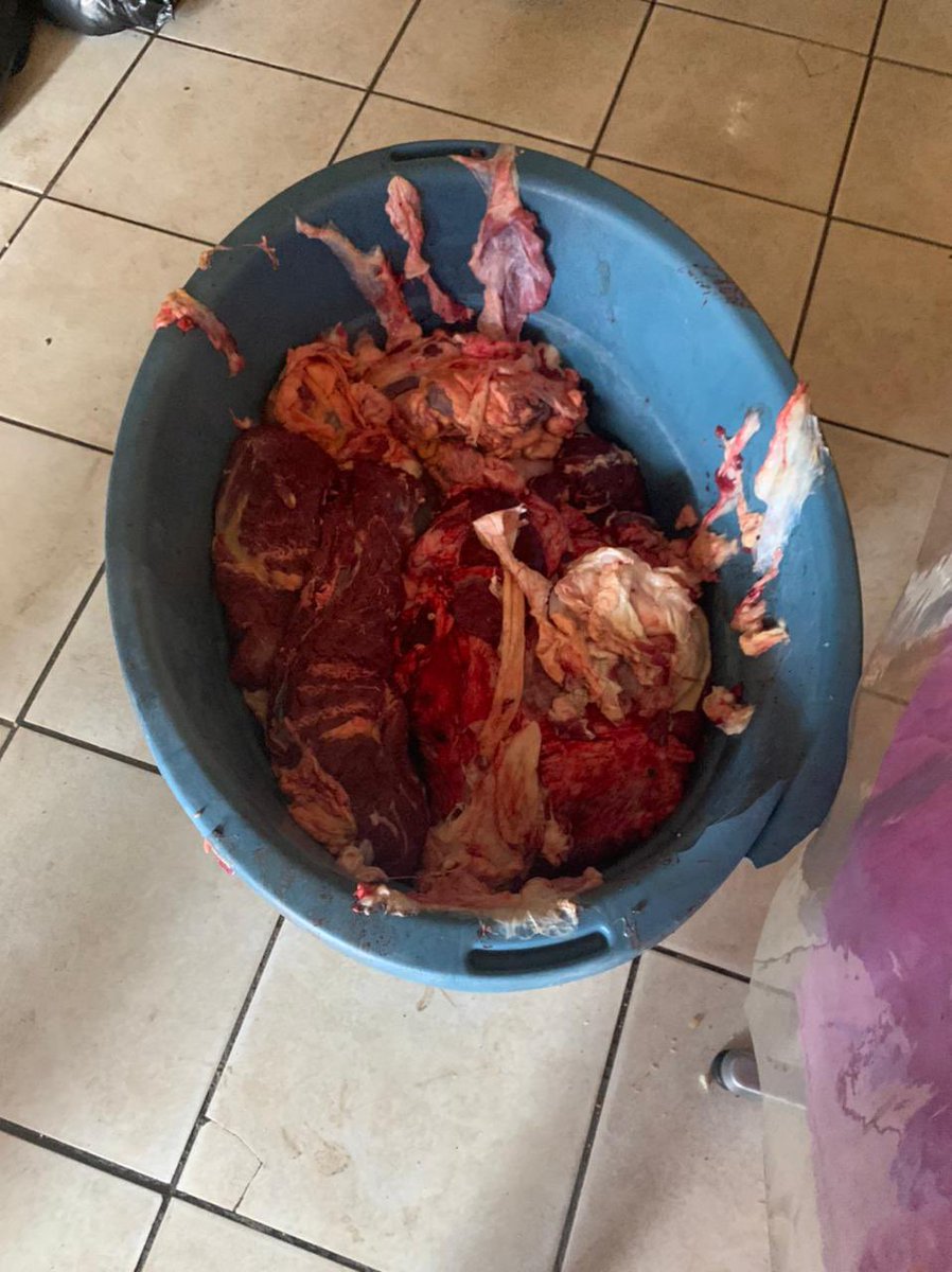In Swazi Inn, Tembisa in execution of By-Laws notices were issued to give businesses 28 days to comply by City Planning. The restaurant was fined for non-compliance. #OperationBuyaMthetho#