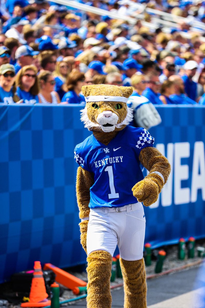 The_Wildcat's tweet image. Walking into a new week like… 

Let’s make it a great one, Wildcats! 
(photo credit @OvertimeLoganp )