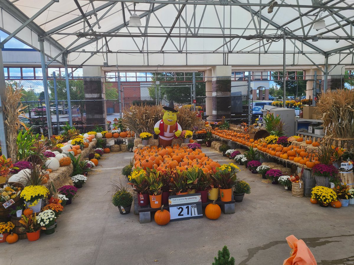 Ray10Ward's tweet photo. Here at Lowe's E. York, we are so excited about Fall. Pumpkins, Halloween, Mums and so much more!!! Special thanks to Desiree for showing off her passion for the season. Keep up the great work!! #fall2022 #95strongR7 #D873Pride @LBishPlants @JHoffmann2207 @s_lauthers https://t.co/WvLvmnh5Rp