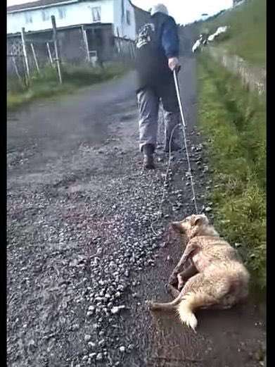 EloiSarrio's tweet photo. Los animales necesitan derechos que los protejan de verdad. No leyes hechas a la medida para que sean maltratados @PSOE Retirad la enmienda a la Ley de Protección Animal @sanchezcastejon @gpscongreso #PSOENiUnSoloPerroAtras https://t.co/6nq94Swjul