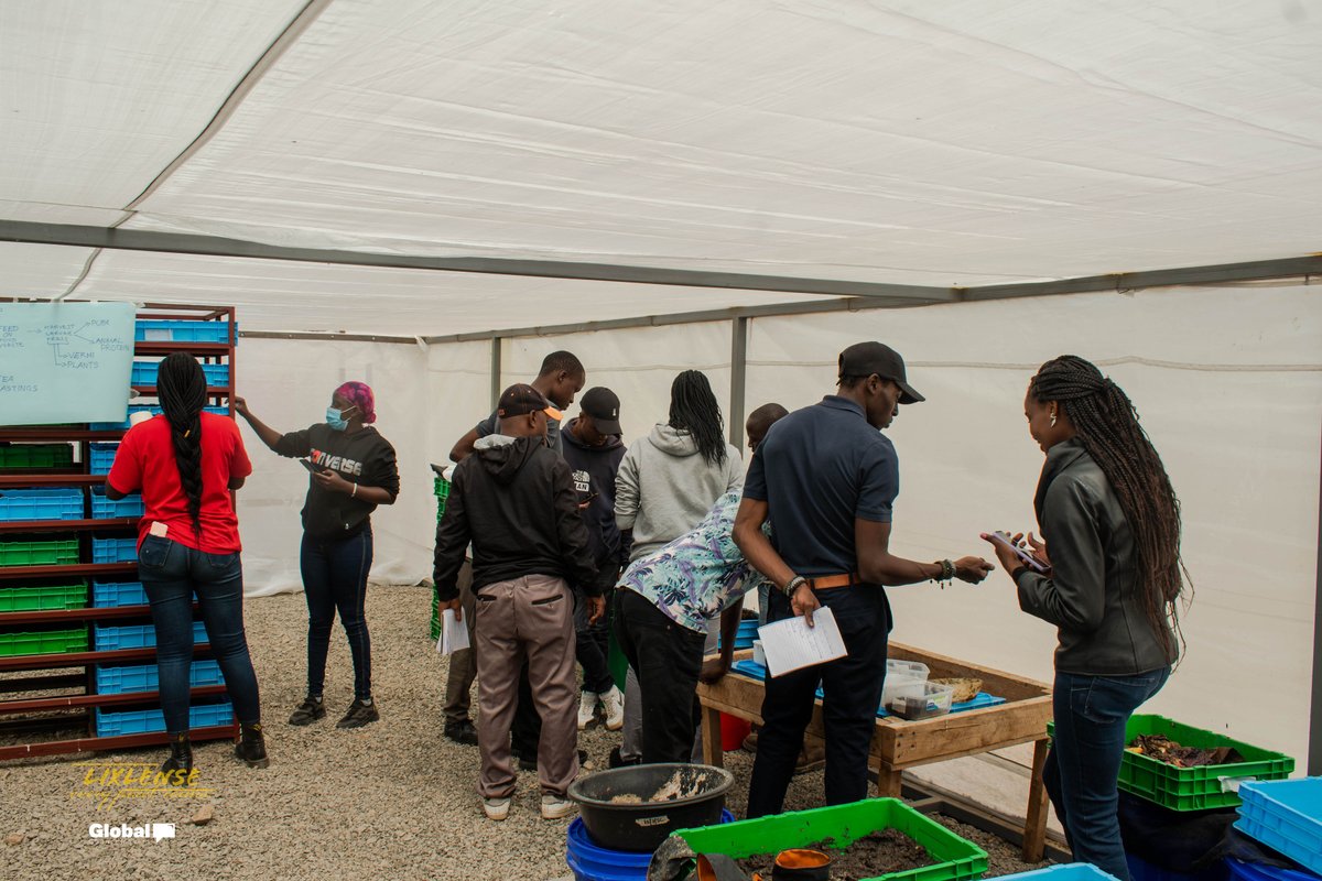DendryHellen's tweet photo. Waste is uniquely a human concept. I was much humbled to learn that Food and Agricultural #waste can be turned into high-value farm input and nutritious animal feed courtesy of the BSF Training @OloloSafariLodge and Farm @WeAreGCM @KelvinGetobai @odhiambofellix @Shawn42098188 https://t.co/rxIzvMG69E