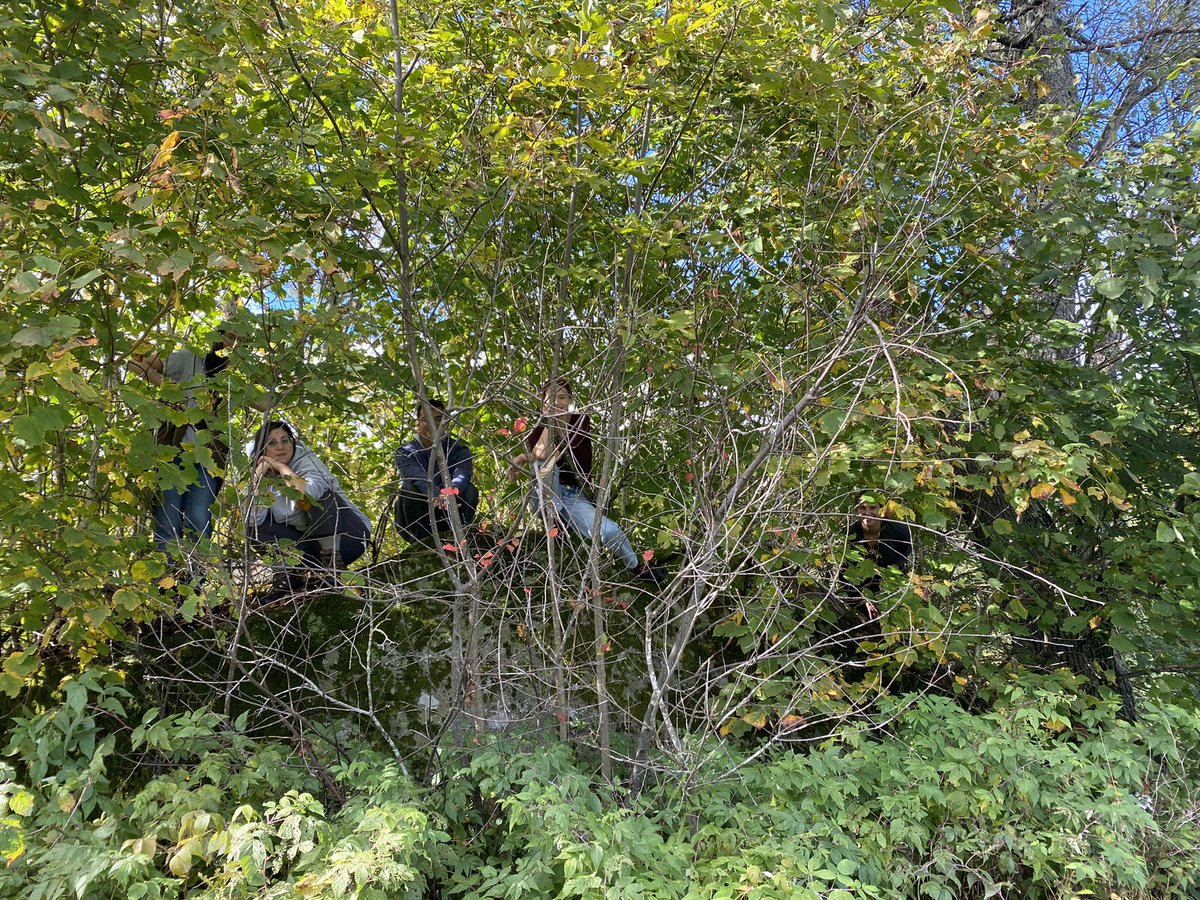 Lab retreat - can you spot the lab members? <a href="/ScienceSimian/">Nadira Yusif</a> <a href="/katiconen/">Kati Conen (@katiconen.bsky.social)</a> <a href="/Doyle_HaDoyle/">Hannah Doyle</a> and more