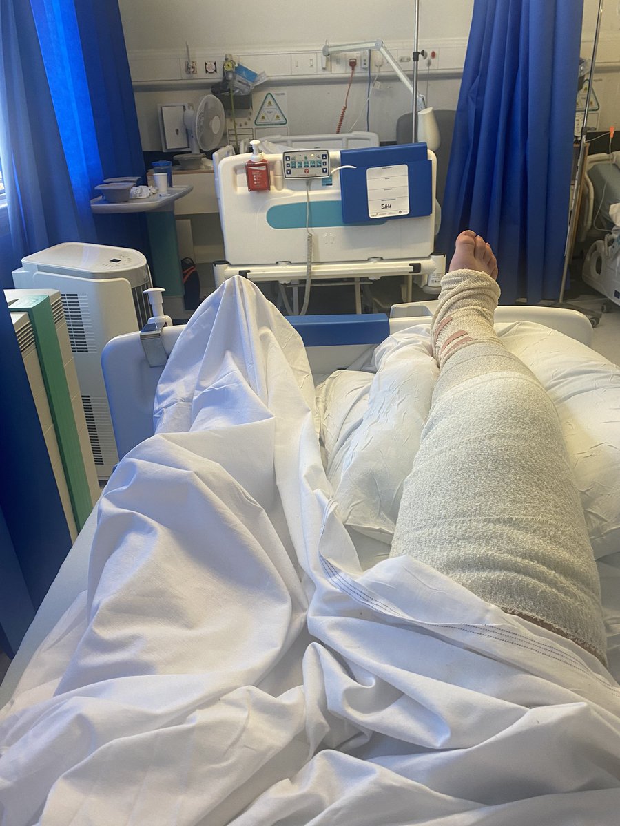 Jake Peck tweet media