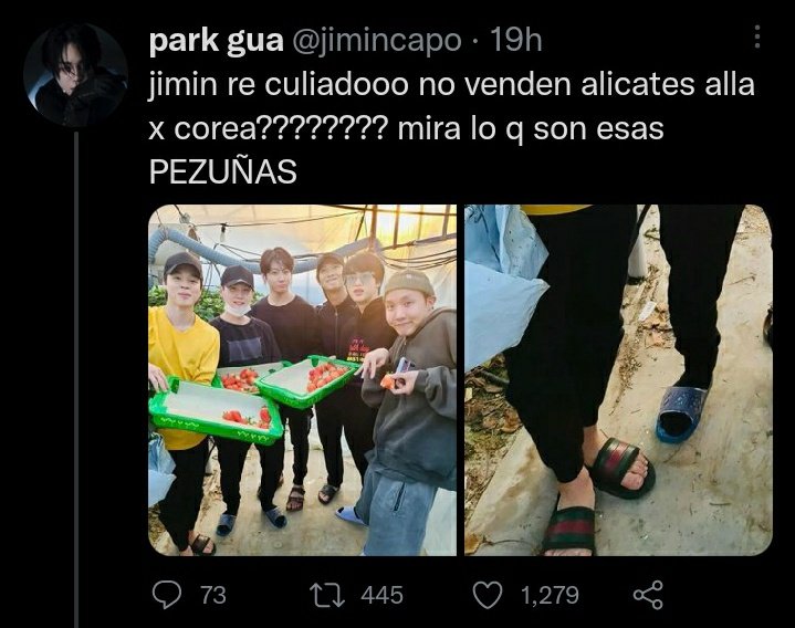 army941209's tweet photo. 🚨LO PEOR QUE LA TIPA SE ENOJA Y SE RÍE QUE LA ESTÉN DENUNCIANDO Y DOXEANDO POR ESTE "CHISTE" QUE ES SEGÚN PARA ELLA. 
De por sí los chicos ya reciben mucho hate a diario y viene esta "army" a provocar más.🚨

Dejo link YA SABEN QUÉ HACER

https://t.co/G9s3hGSIsm https://t.co/dyR8oCHsvM