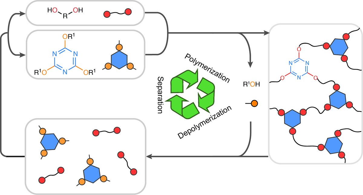Wei Zhang (@weizhangcu) on Twitter photo Our work on malleable thermosets with closed-loop recyclability by activating dormant linkages just came out <a href="/NatureChem/">NatureChem</a> rdcu.be/cWmM4. Congratulations to <a href="/ZepengLei/">Zepeng Lei</a> <a href="/CUBoulderCHEM/">CU Boulder Chemistry</a> and the team! Dynamic nucleophilic aromatic substitution, a new powerful DCvC tool! Our work on malleable thermosets with closed-loop recyclability by activating dormant linkages just came out <a href="/NatureChem/">NatureChem</a> rdcu.be/cWmM4. Congratulations to <a href="/ZepengLei/">Zepeng Lei</a> <a href="/CUBoulderCHEM/">CU Boulder Chemistry</a> and the team! Dynamic nucleophilic aromatic substitution, a new powerful DCvC tool!