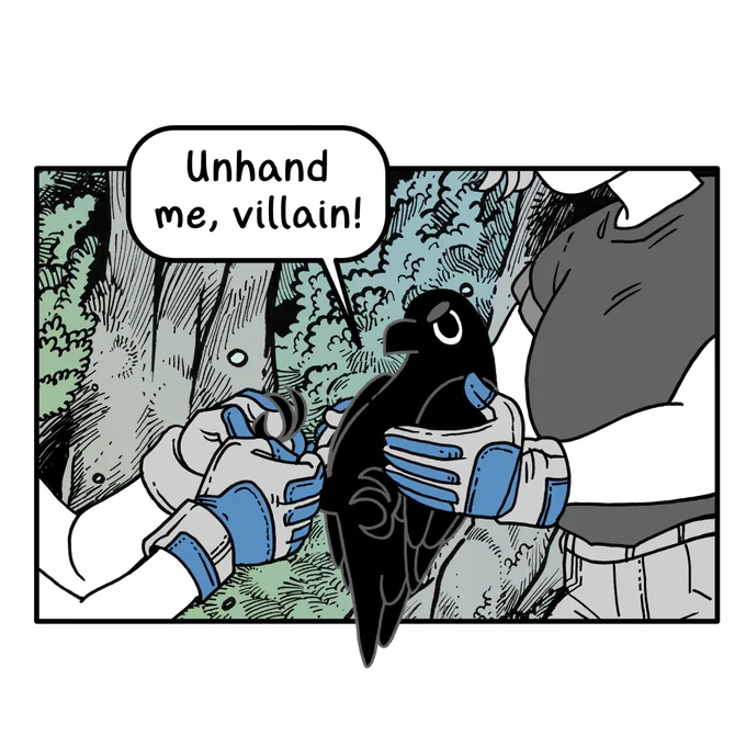 New Crow Time 🕶 