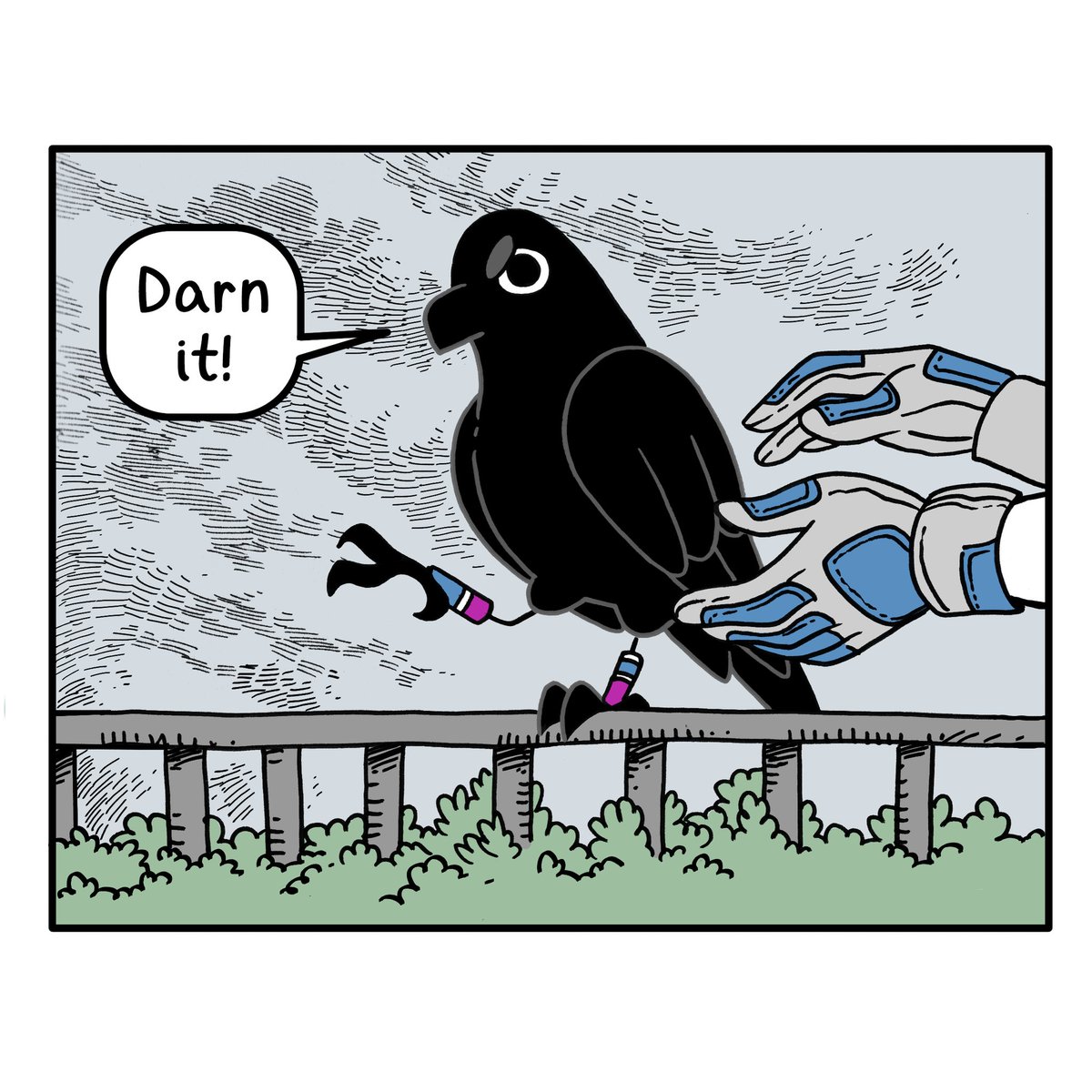 New Crow Time 🕶 