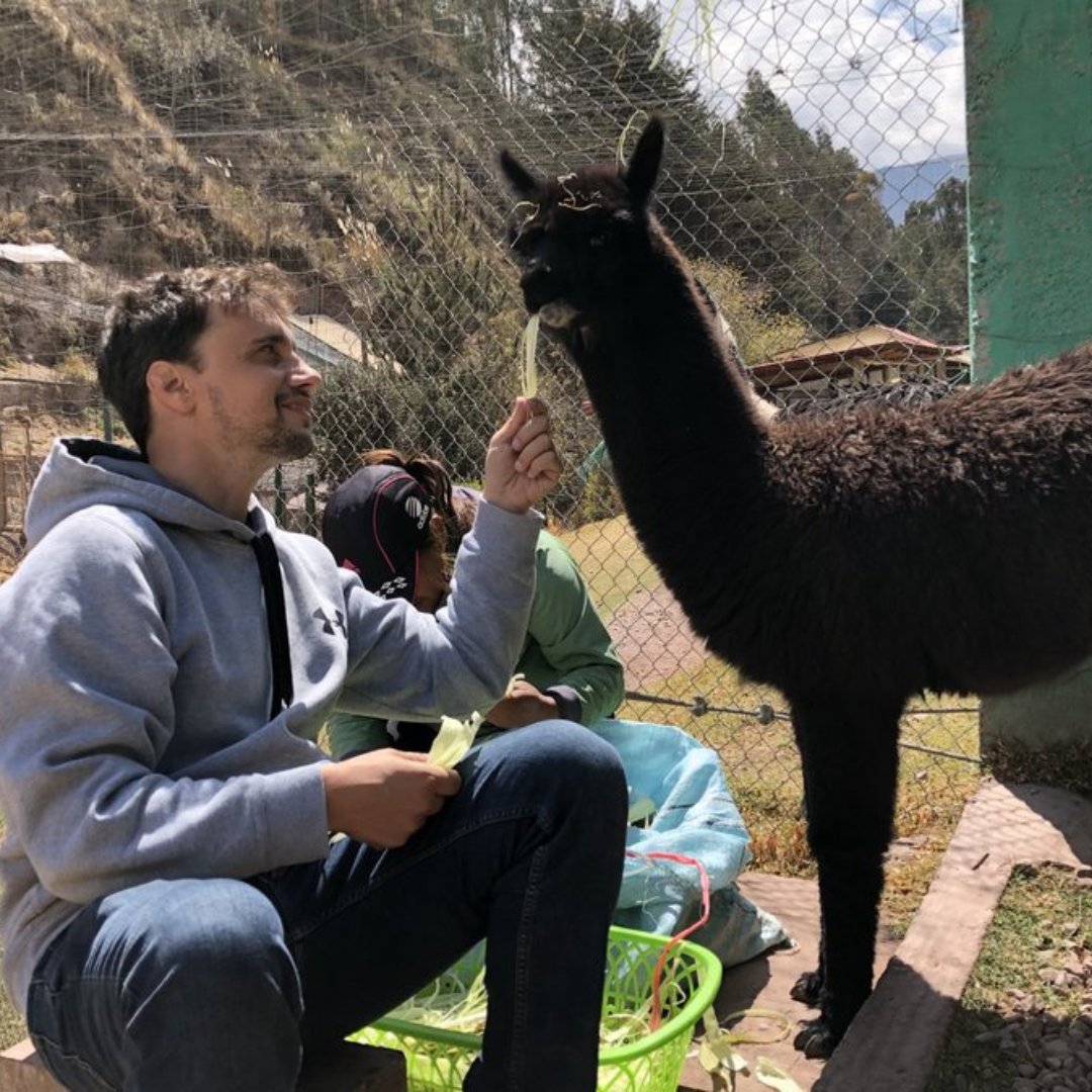 UnitedPlanet's tweet photo. "  volunteered at a wildlife rehabilitation sanctuary and I never could have or would have had the opportunity in the US to be so up close with the animals and to work side by side with locals. It was great!"—Steven, Volunteer in #Peru 🇵🇪

More info:
👉https://t.co/tVnfRIlwsY https://t.co/nzWvyXI3Tx