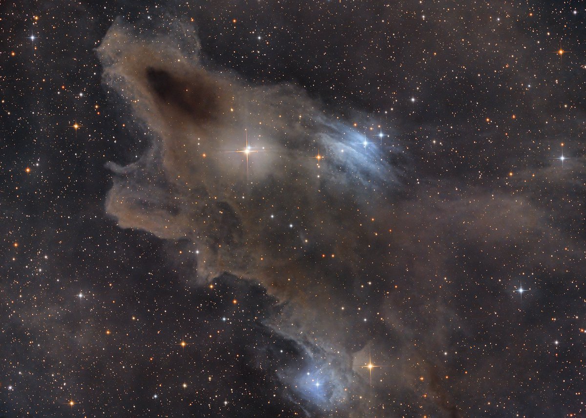 TrisCampbell's tweet photo. The Dark Shark Nebula (LDN 1235). 12 hours taken over the weekend, 10" Newtonian. New moon + clear sky for once. #Astrophotography #astronomy https://t.co/cPGijYeDid