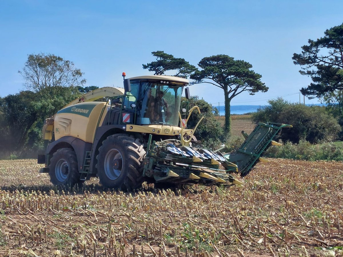 KroneFrance's tweet photo. 🌽 Notre ensileuse de démonstration KRONE BiG X 630 prouve ses capacités et sa qualité de travail cette semaine encore dans le Finistère avec notre concessionnaire SA Lochou ! 👌
#bigx #teambigx #krone https://t.co/9RjuFqE4ca