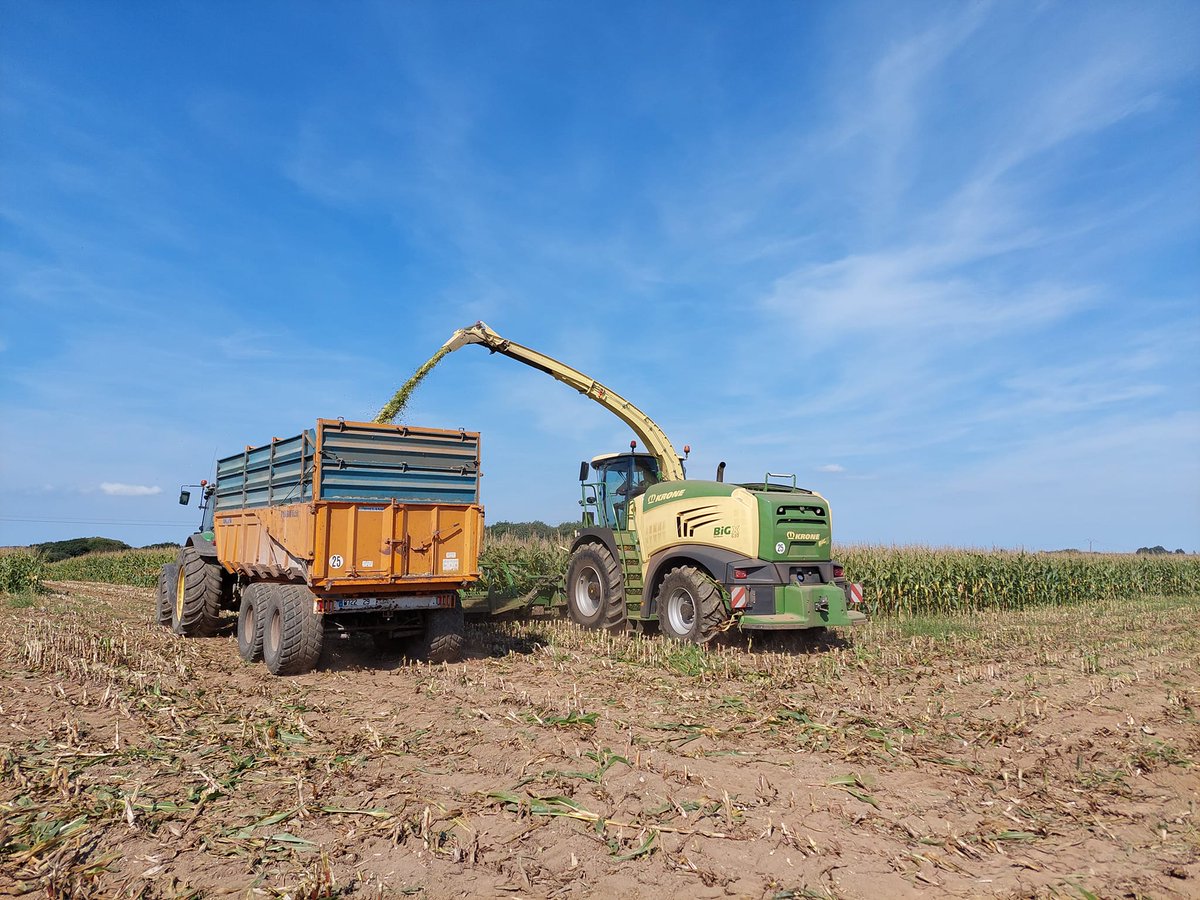 KroneFrance's tweet photo. 🌽 Notre ensileuse de démonstration KRONE BiG X 630 prouve ses capacités et sa qualité de travail cette semaine encore dans le Finistère avec notre concessionnaire SA Lochou ! 👌
#bigx #teambigx #krone https://t.co/9RjuFqE4ca