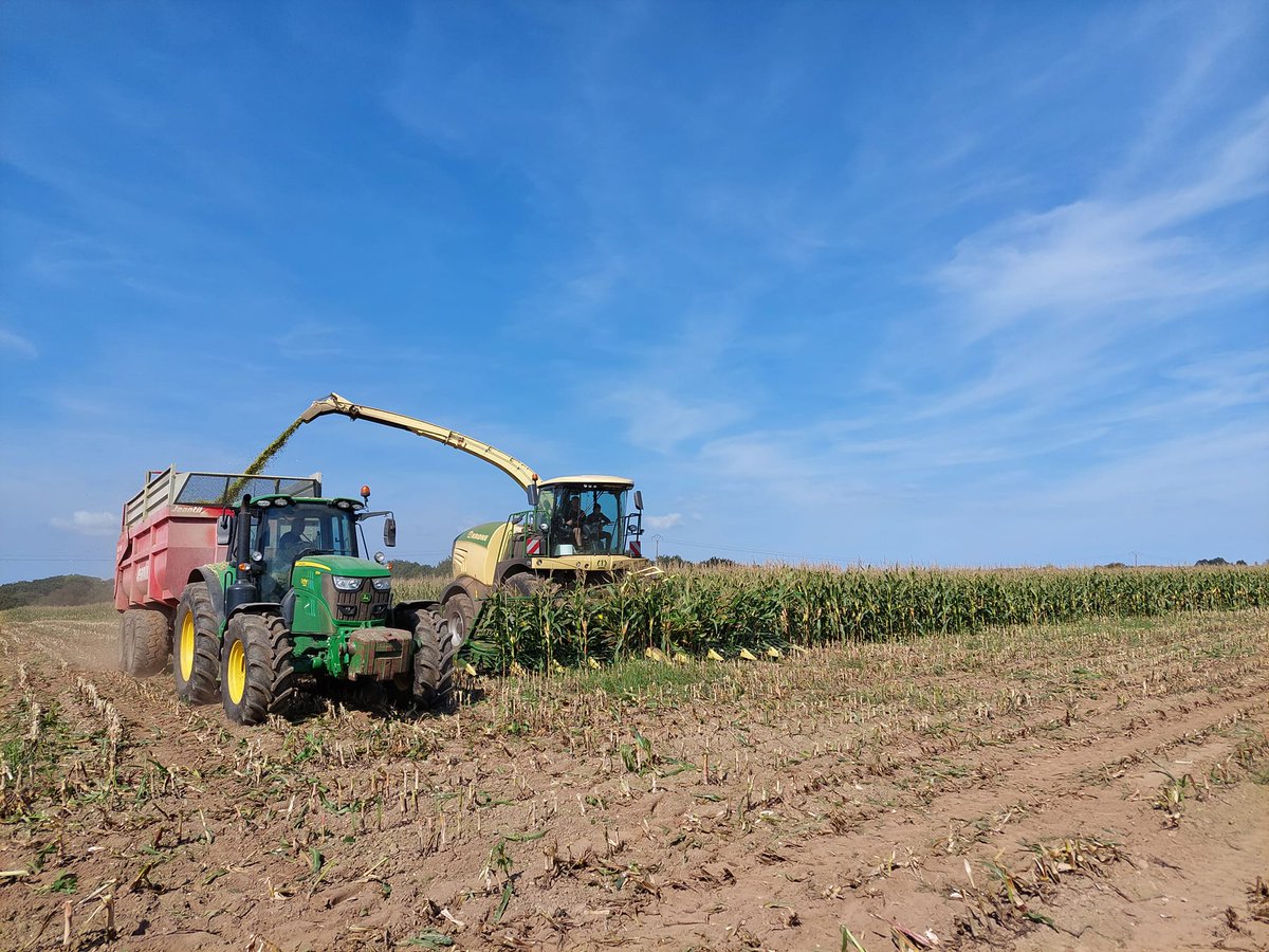 KroneFrance's tweet photo. 🌽 Notre ensileuse de démonstration KRONE BiG X 630 prouve ses capacités et sa qualité de travail cette semaine encore dans le Finistère avec notre concessionnaire SA Lochou ! 👌
#bigx #teambigx #krone https://t.co/9RjuFqE4ca