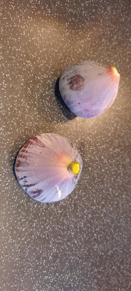 Mark Smith tweet media