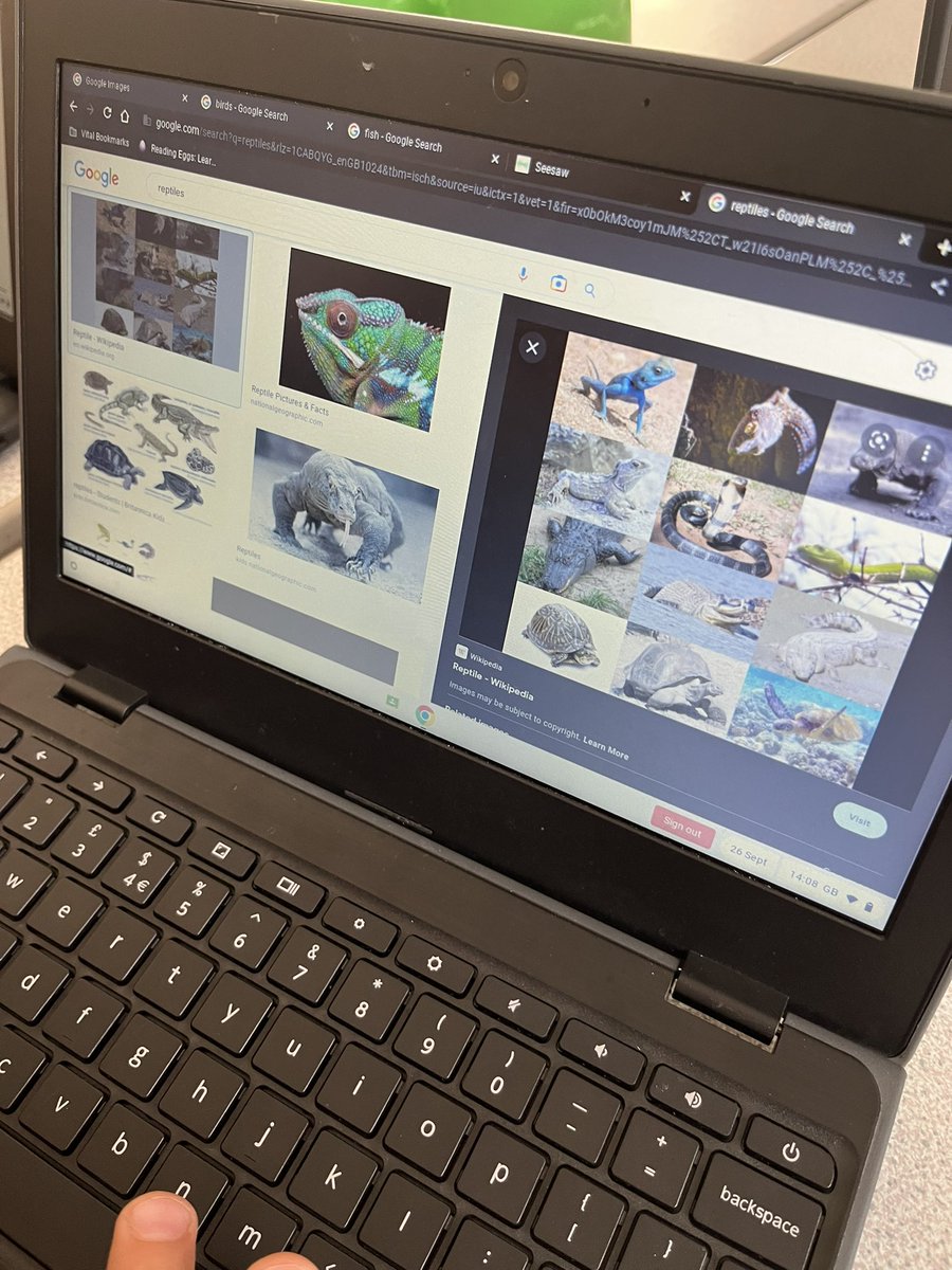 LakesideYork's tweet photo. Team Elm used the reflect to Seesaw extension to find pictures of animals from the different animal groups. We were able to use our computing knowledge of how to use technology respectfully to help us in our work today. #LakeComputing #LakeScience #crosscurricularlearning https://t.co/dRX5BStVtn