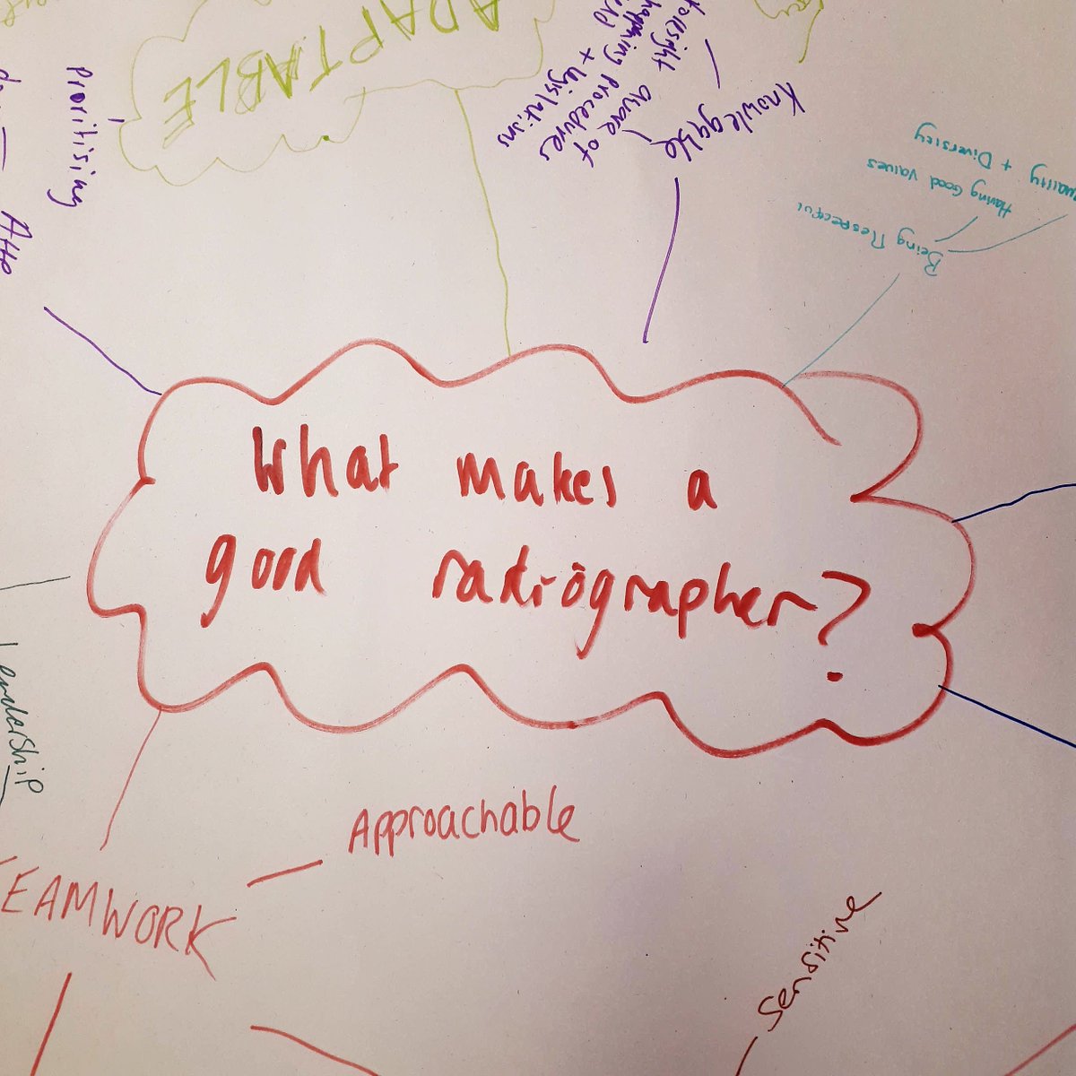 UoB Diagnostic Radiography tweet media