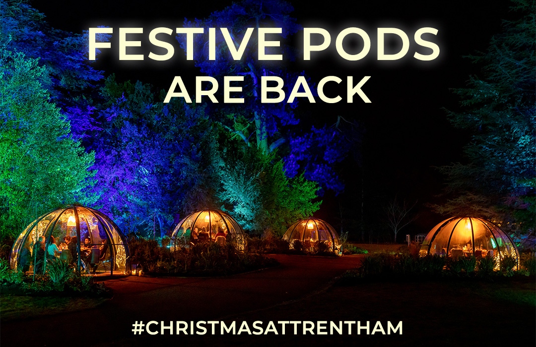 TrenthamLights's tweet photo. Our Festive Pods are back this year ❄️

Seating up to 8 people, each private heated pod includes a generous festive sharing platter with seasonal beverages to enjoy!

Book your Festive Pod via https://t.co/2z17gqsUeX 🔗 https://t.co/OCYFdsTUyt