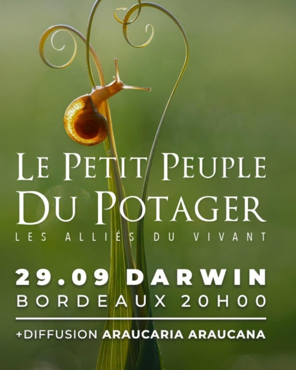BConfidentiel's tweet photo. Le jeudi 29 septembre 2022 à Darwin (@darwin.camp) à 20h , sera organisé une double séance ciné en plein air de deux de leurs documentaires : Le Petit Peuple du Potager et Araucaria Araucana.
#cinema #cine #pleinair #cinemaenpleineair #darwin #grenouillesproductions https://t.co/0WiEoft0Tv