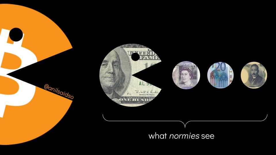 anilpatel's tweet image. Those who sought refuge in the pound, are now seeking refuge in the dollar, without understanding they're repeating the same mistake.