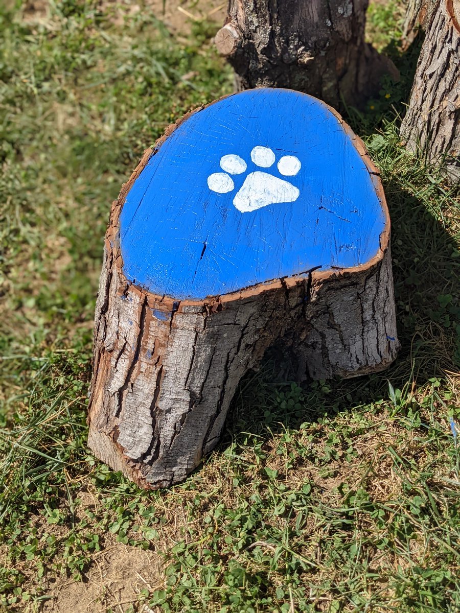 Bucknell Elementary PTA tweet media