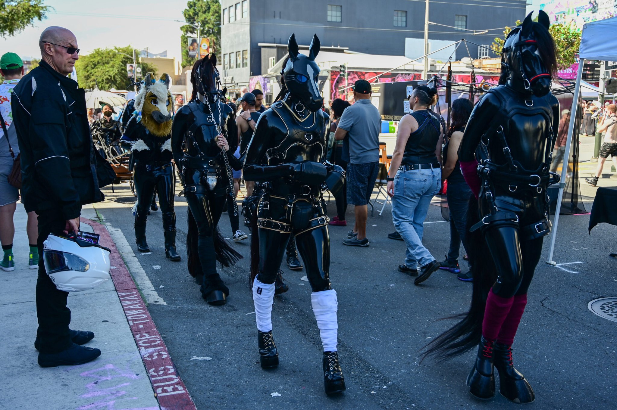 -Shadow-Dragon- on Twitter: "The San Francisco Standard got a great