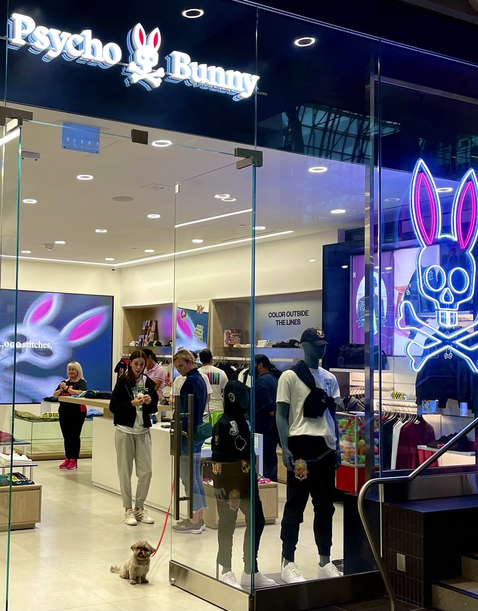 Newest greeter <a href="/psychoBunny/">Psycho Bunny</a> boutique in Toronto “Ruby the Shih Tzu” 👍