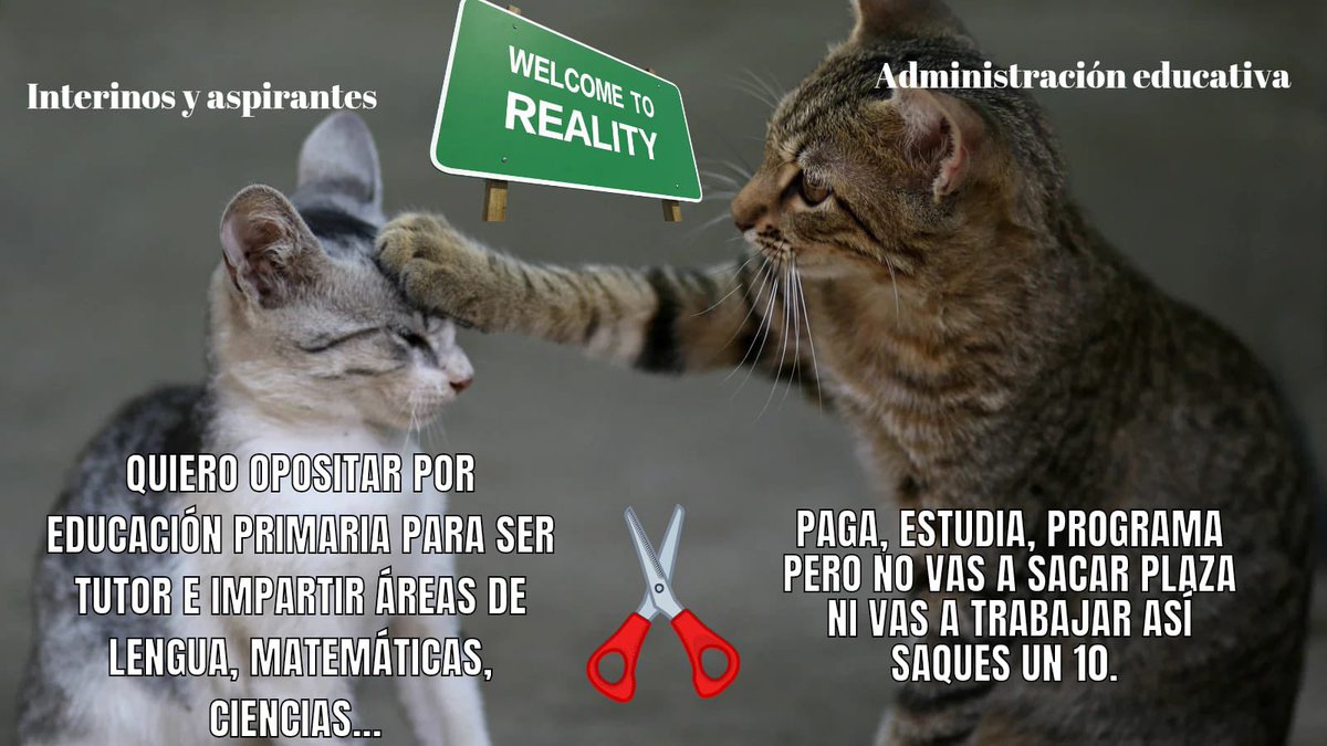 BellaF11's tweet photo. Gástate el dinero en menciones para tener 5 perfiles, eso de la vocación qué es?? Maestros con vocación no interesan, verdad??? Qué vergüenza!!!! #primariaexisteyresiste @IdiazAyuso @eossoriocrespo @telemadrid https://t.co/UirgOoZWaU
