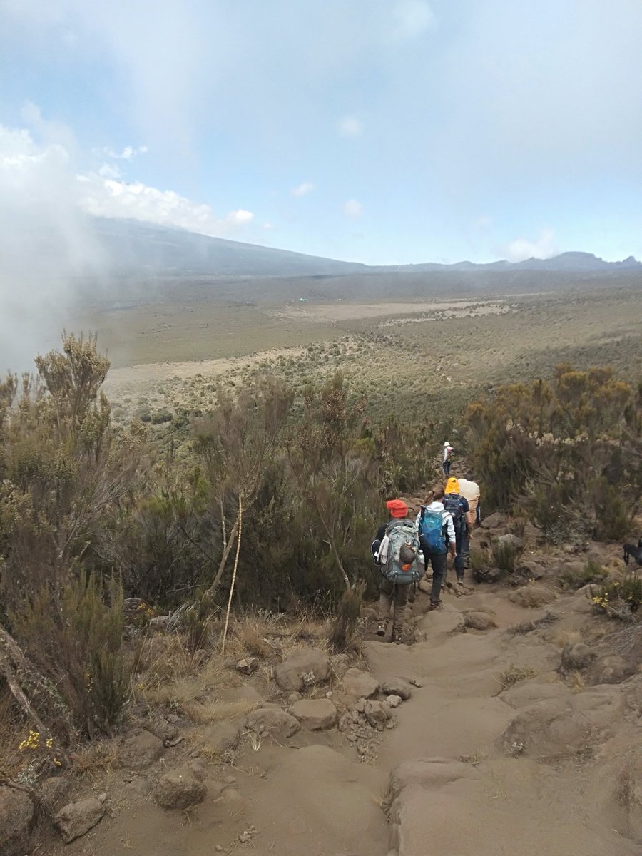 Tanjaroadvent's tweet image. Dat two on the way to Shira 1 Lemosho route #Safari#widlife#Africa#Nature#travel#Wildfephotograph#Animals#photograph#naturephotography#adventure#trekking#photo oftheday#wild#animal#conservation#wanderlust#africansafari#naturelove#