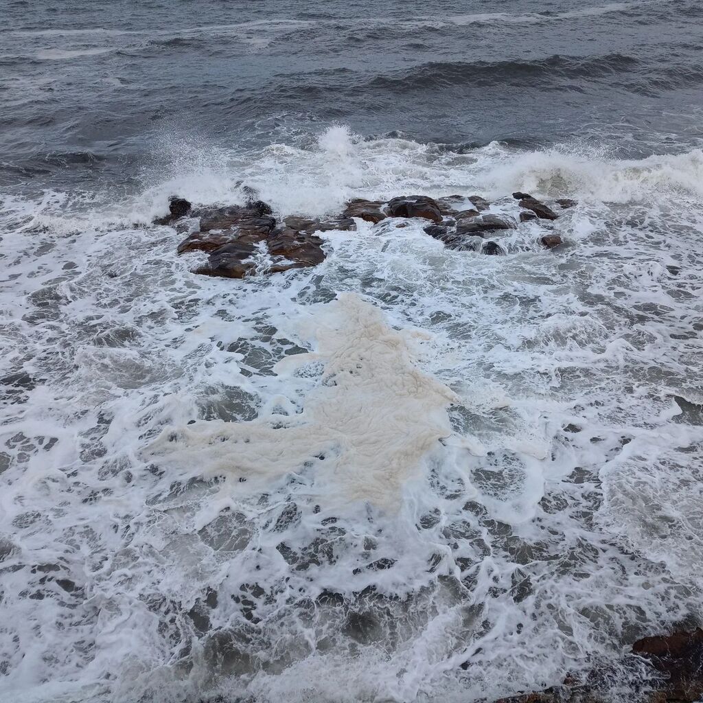 moley75's tweet photo. #tablerocks #outdoorpool #whitleybay #cullercoats Not today thanks. https://t.co/hRQAeBliY7 https://t.co/HCZcJZ8AFg