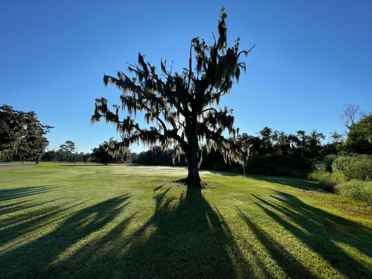 SableRhoden's tweet photo. Photowalking in Fontainebleau State Park.
@LAStateParks
#FontainebleauStatePark #Mandeville #StTammany #LANorthshore #LAStateParks https://t.co/khqw6HEy1e