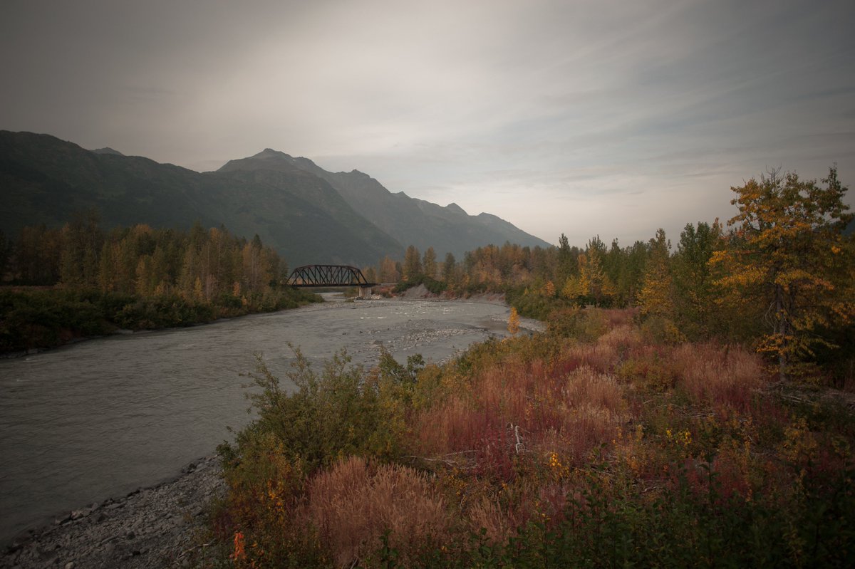 ChugachForestAK's tweet photo. The forest/bosque grande/ forêt/森/wald/ aas gutú is a great place to recharge your energy, no matter how you say it. #InternationalTranslationDay #ChugachNF
PC - Chad Cook &amp; Amanda Goss https://t.co/LBS1MT3AFR