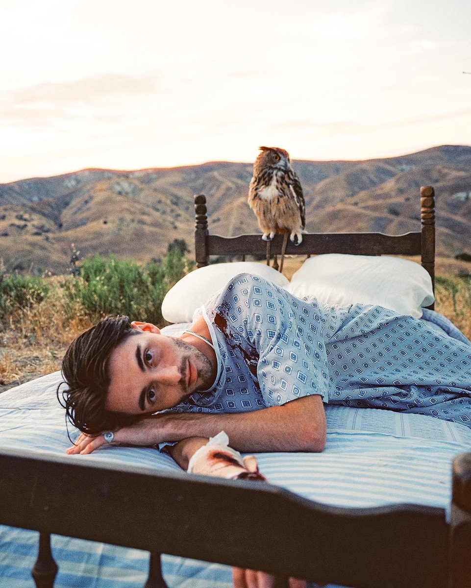 So, what are the favorites from Palladium? 💗