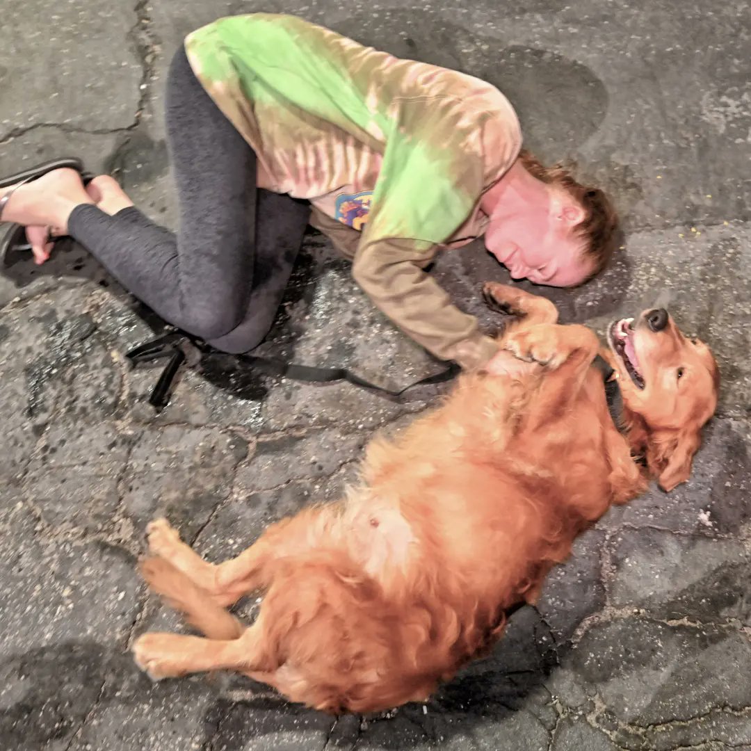 ChinaRescueDogs's tweet photo. Wonderful night! 31 Goldens, pugs, and frenchies found their freedom in the US!! Thank you Frank and Kara from Dog Is My CoPilot for helping us make this happen🙏🏼 We are so very grateful for all of our donors as well. We couldn't have done this without you ❤️ #rescuedogs #Rescue https://t.co/3e6fpwA4nT
