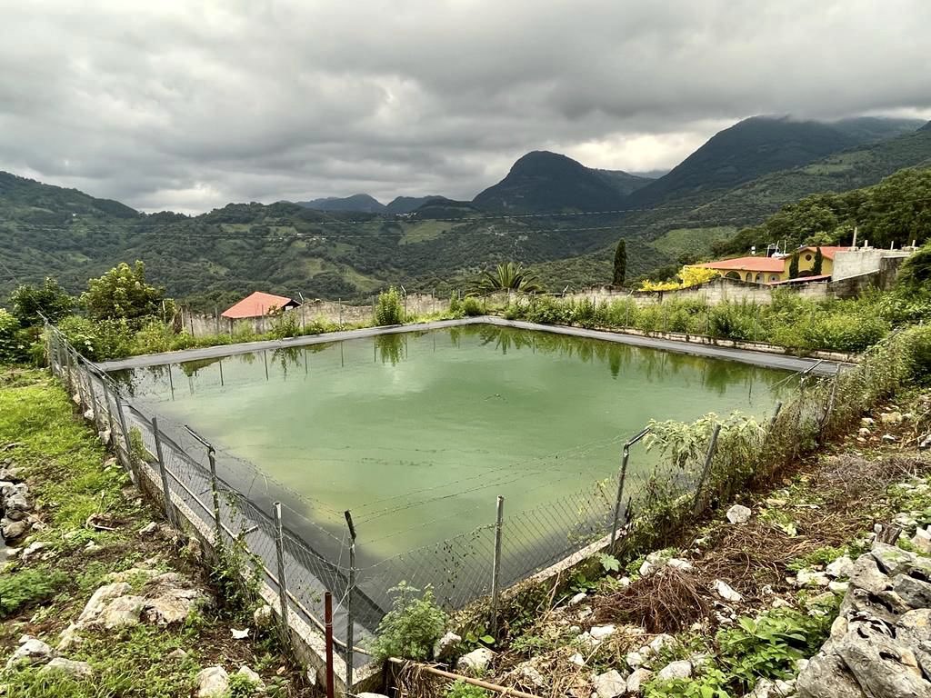 SEIStelevision's tweet image. 📸 𝟲𝗧𝗩 #Entérate ➡️ Realizan entrega de rehabilitación de camino y arranque de ampliación de agua en 𝗠𝗲𝘀𝗮𝘀 𝗱𝗲 𝗦𝗮𝗻𝘁𝗮 𝗜𝗻𝗲́𝘀 𝗱𝗲 𝗣𝗶𝗻𝗮𝗹 𝗱𝗲 𝗔𝗺𝗼𝗹𝗲𝘀.

#6TV