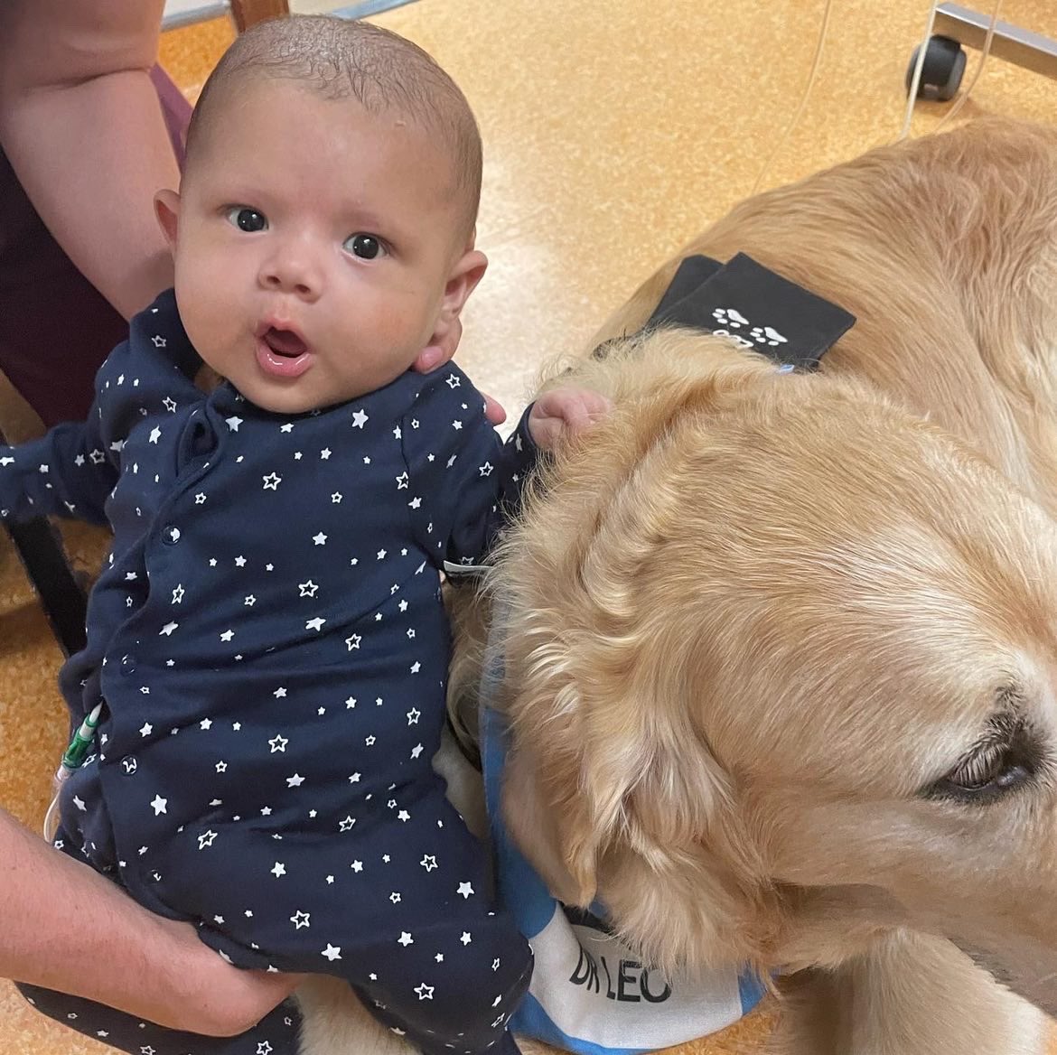 Leo and Friends Therapy Dogs (@leoandfriendstd) on Twitter photo Just me and baby Xavier relaxing on the paediatric surgical ward where this cute little fella is a patient. 🐾🐾
Permission to share granted ✅
<a href="/SotonChildHosp/">Southampton Children's Hospital</a> <a href="/PetsAsTherapyUK/">Pets As Therapy</a> Just me and baby Xavier relaxing on the paediatric surgical ward where this cute little fella is a patient. 🐾🐾
Permission to share granted ✅
<a href="/SotonChildHosp/">Southampton Children's Hospital</a> <a href="/PetsAsTherapyUK/">Pets As Therapy</a>