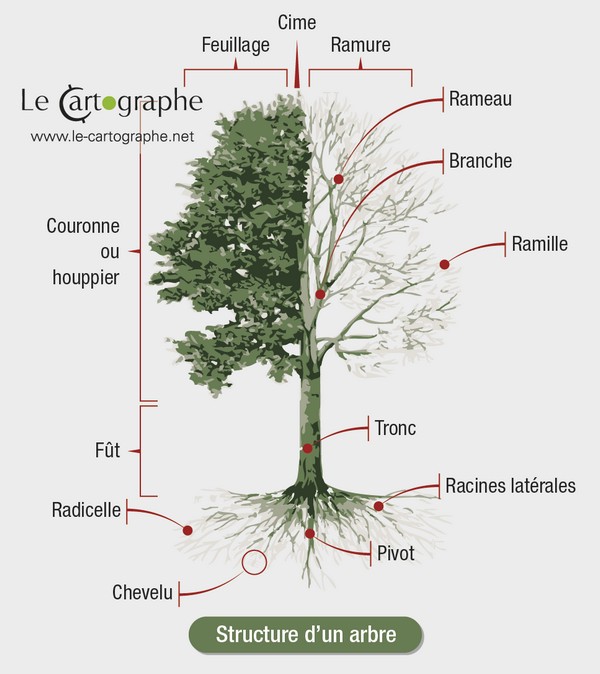 Le Cartographe 🗺 🍷 tweet media