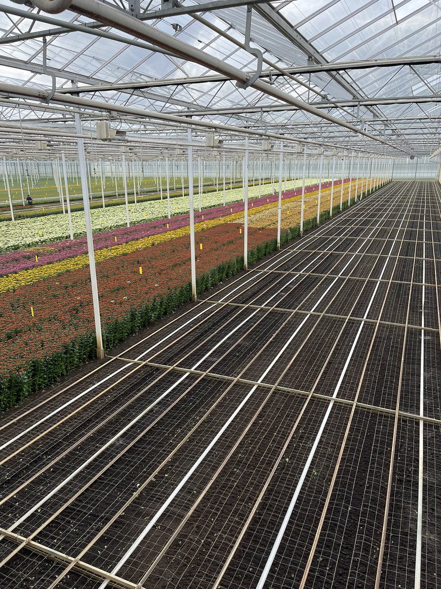 Op verzoek nog een keer de reden waarom lege kassen iedereen kan gaan raken👨‍🎓🤷‍♂️