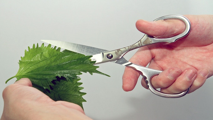 smartgatgets's tweet photo. Zanmai Forged Scissors | Beautiful scissors by professionals https://t.co/pn1t0RUXQR via @YouTube https://t.co/aaYTPe4agR