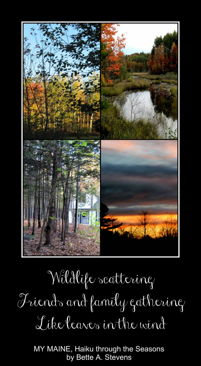 BetteAStevens's tweet photo. โWhen I think of #Maine, I think of beautiful fall colors this time of year and this #amazingwriter from Maine, Ms. @BetteAStevens. She has a new release that is worth the #read ...Makes a great coffee table book or #Holidaygift.โ@kitcatlyon https://t.co/nDBCUSxOHD โฆ https://t.co/un3mJaGeH7