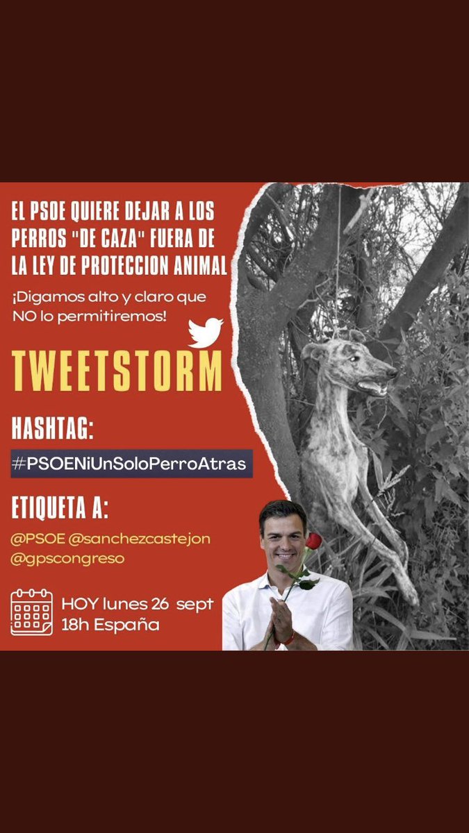 JuliaAbelli's tweet photo. #PSOENiUnSoloPerroAtras 

@PSOE @sanchezcastejon @gpscongreso 

Todo ser vivo quiere querer y que le quieran. https://t.co/YFPTUReLbI