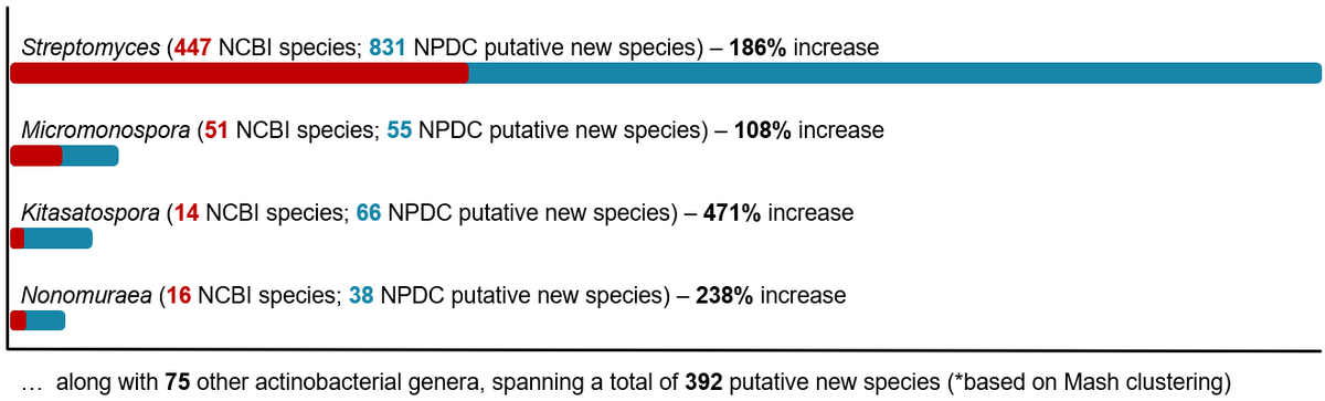 lab_shen's tweet photo. As part of the build-up to the NPDC Genome Portal launch this Thursday: Diversity and richness of the NPDC strains. From the initial 8,490
genomes (https://t.co/4Y1Dc12qbQ), we have: 
@ActinoBase https://t.co/apLhh4s2Wu