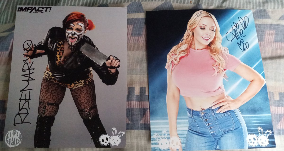#multiversemailcall I got @WeAreRosemary poster and @AllieWrestling poster, so luckily, I have two posters from @DemonxBunny! 😀😀 Thank you so much!