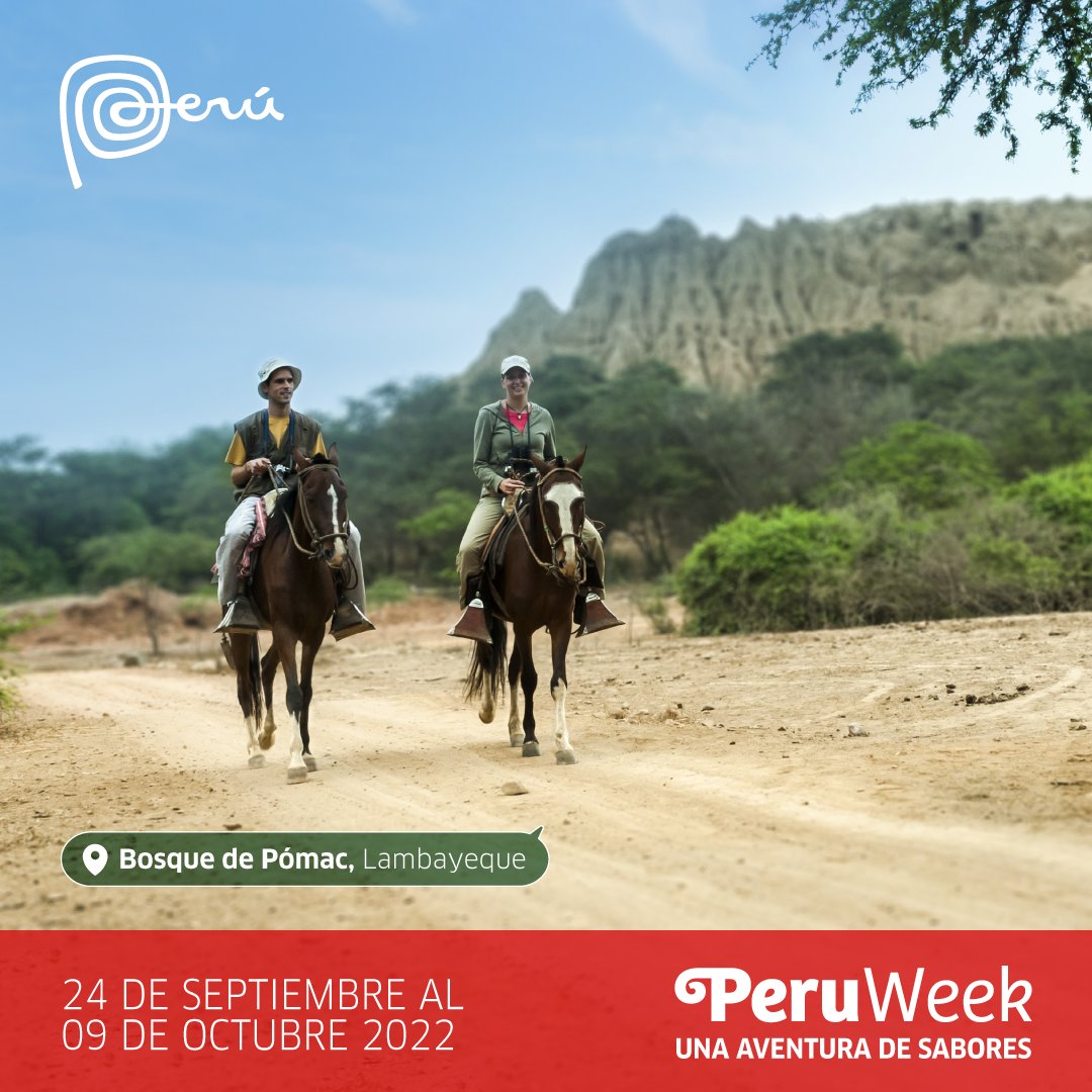 visitaelperu's tweet photo. ÚLTIMO DIA PERU WEEK ARGENTINA 🇦🇷🇵🇪🔝
⏰Solo hasta hoy 9 de octubre encuentra tu próxima aventura de sabores y maravillosas experiencias aqui https://t.co/hk7ibMwE4M
#Visit #VisitPeru #PeruWeek #Peru #Argentina https://t.co/eUK7x5sHO2