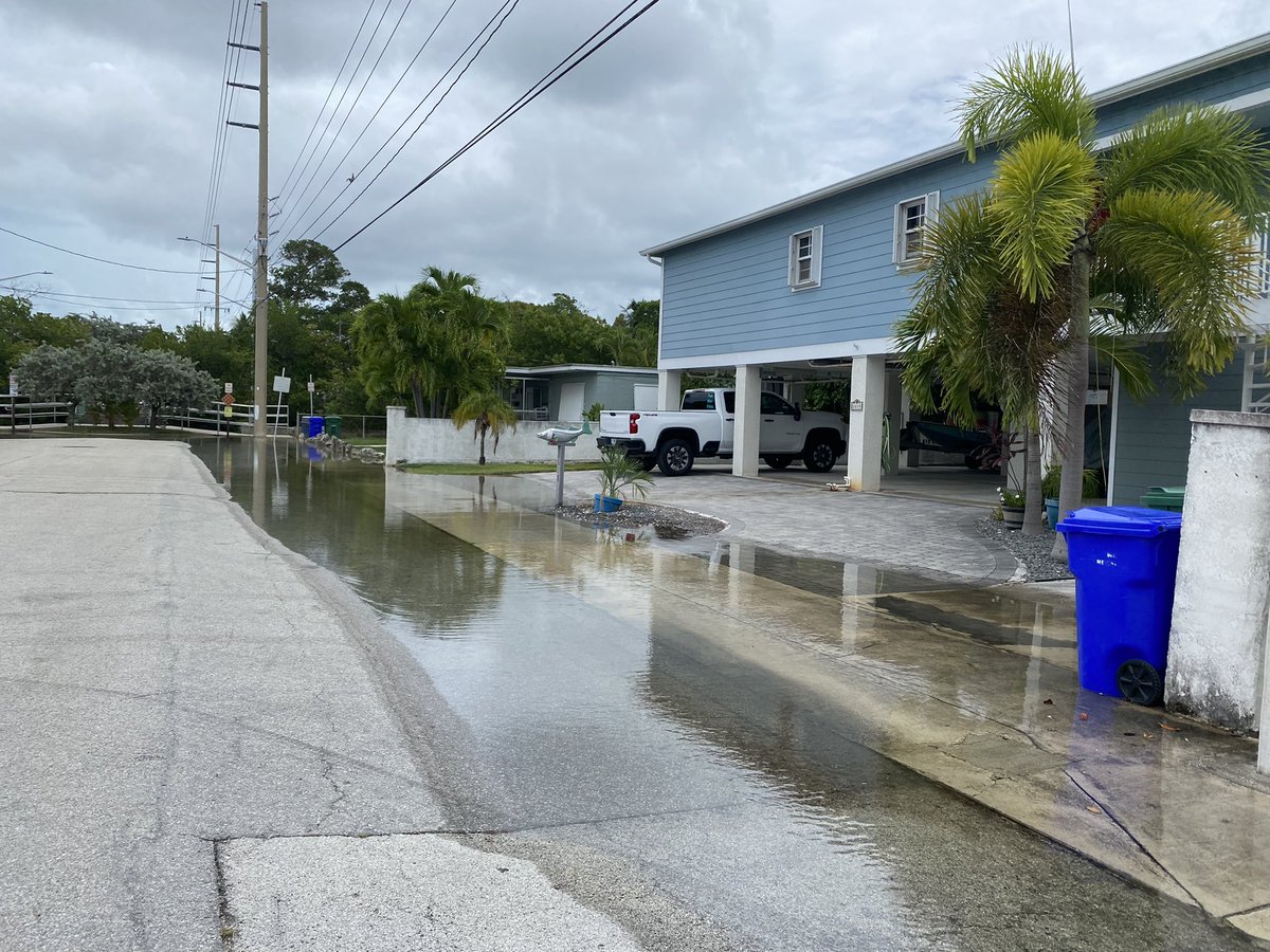 joel-franco-on-twitter-rt-keywestgwen-my-neighbors-in-new-town-part