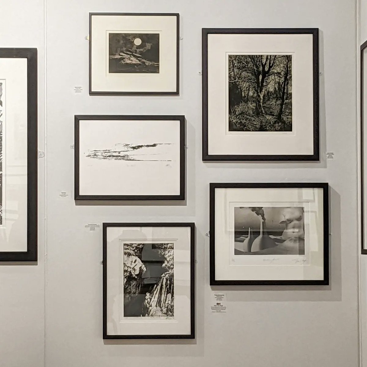 Atelier21Studio's tweet photo. Artist @TheadoraBWay presented her portfolio and spoke about the intricate print process of #photopolymer @BanksideGallery for the @re_printmakers in a meet the artist session.

Her work is on show amongst other artists at the #iope exhibition.

https://t.co/aGFG5wGMqw… https://t.co/CSdUaMY5o2