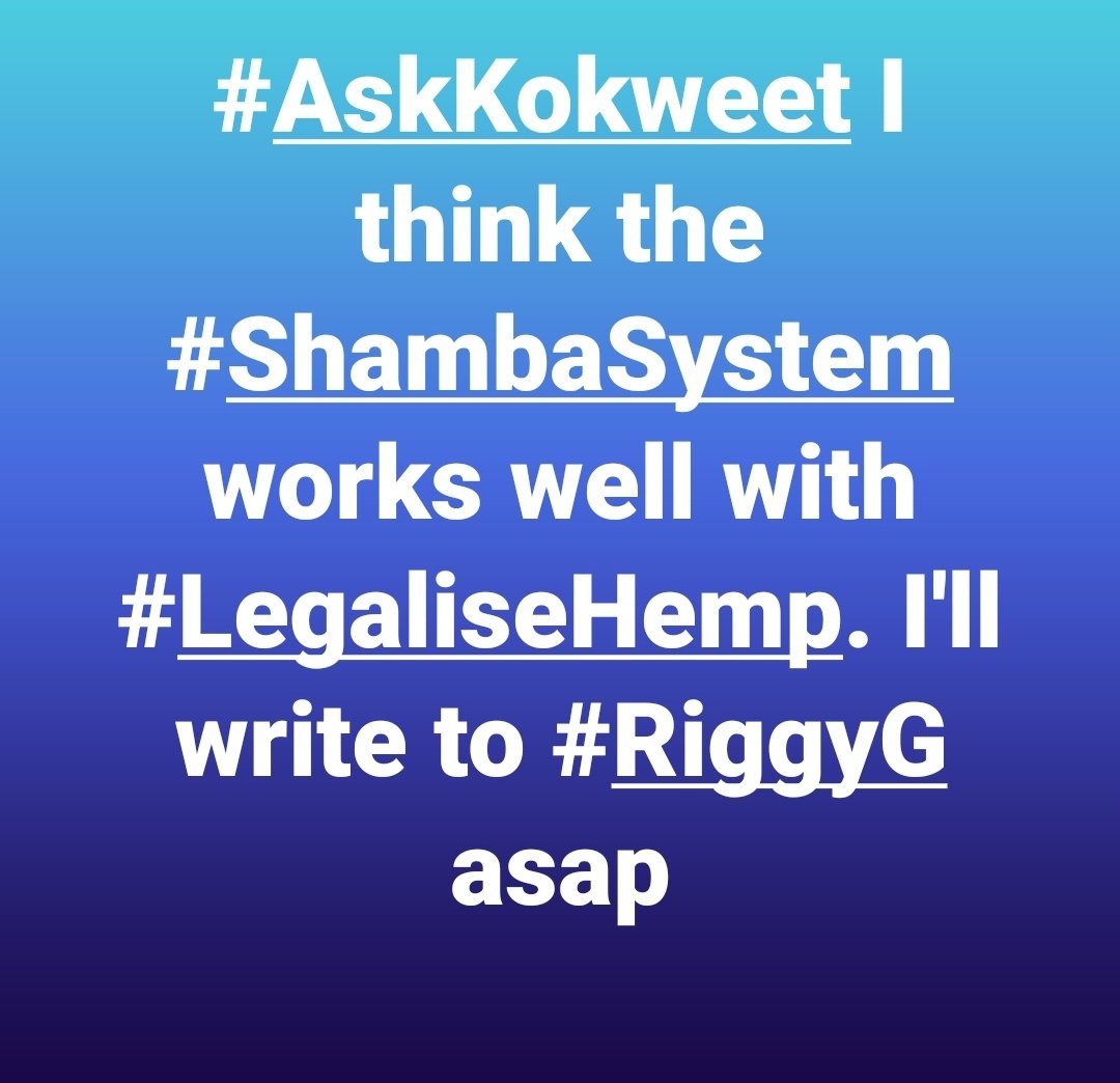 SeroneiCheison's tweet photo. Methinks #Shambasystem works well with #LegaliseHemp. Please @rigathi consider my application #MitiNiMiti https://t.co/6b2Yyqbw8x