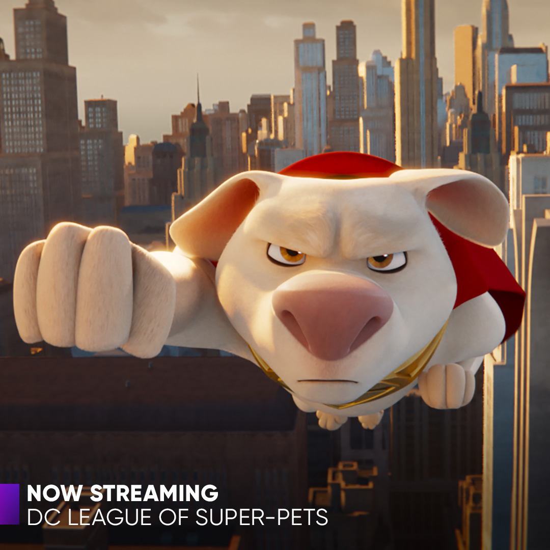 HBO Max on Twitter "Pup, pup, and away! DC League of SuperPets is now