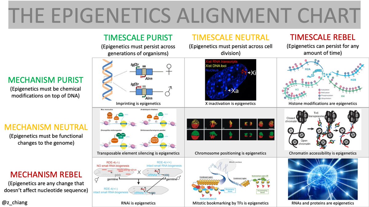 Confused by all the "what is epigenetics" discourse?

Well I have just the thing for you -- presenting the Epigenetics Alignment Chart!