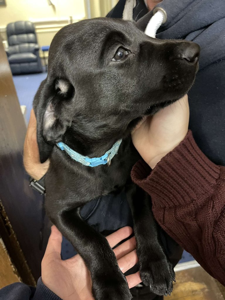 Kirkham Grammar School Boarding tweet media