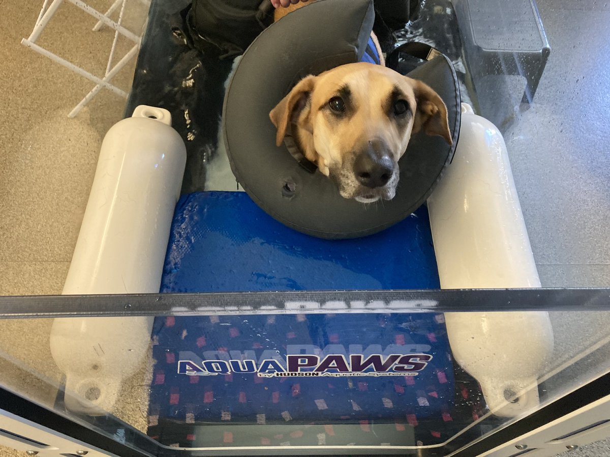 mikeauclair's tweet photo. Treadmillin’ https://t.co/ihh9JTreQC